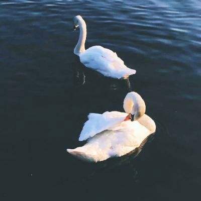 今天，沪指重返3900点！美团、泡泡玛特引关注