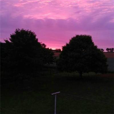 银行总资产“10万亿”俱乐部扩容至12家！